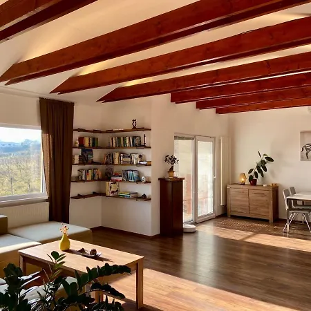 Apartman Priestranny S Velkorysym Vyhladom Récse